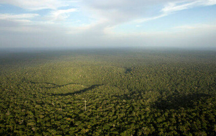 巴西雨林现巨型图如亚马逊巨石阵 450个巨大图案占1.3万平方公里（2）