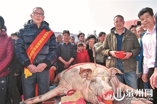 安溪龙门：600年传统夷易近俗 “赛大猪”庆元宵