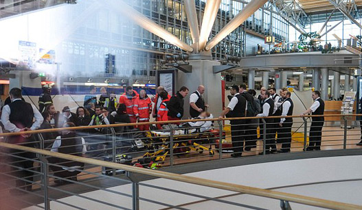 德国汉堡机场50余人疑吸入毒气