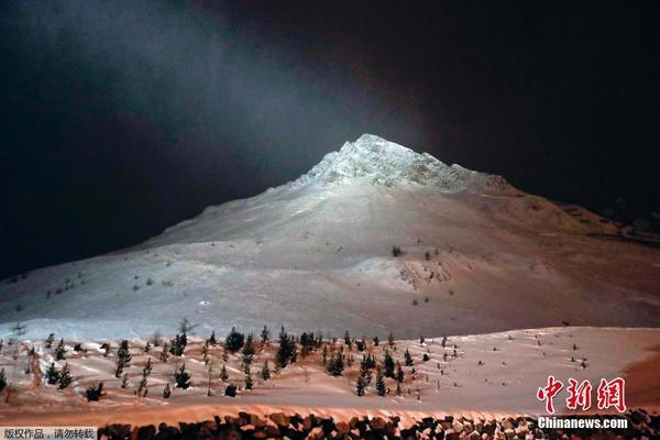 法国滑雪胜地发生雪崩 9人被埋至少4人丧生