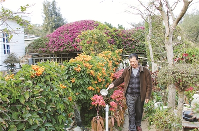 漳州东山70岁老人打造村中花园 点缀古村落