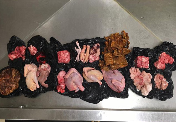 美国一女子欲带20斤生肉入境 含多种动物内脏
