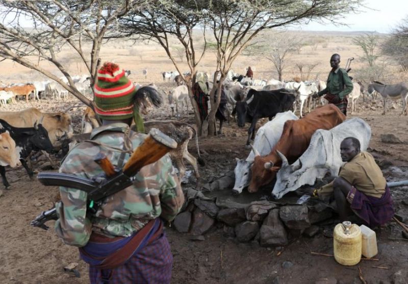 旱季肯尼亚牧民残忍杀大象 仅为争夺水源活下去