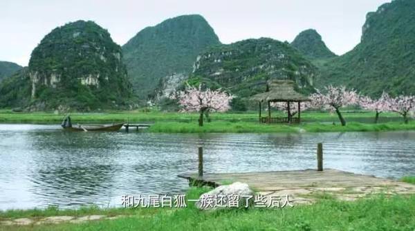 三生三世十里桃花的十里桃林拍摄地原来在云南的这个地方