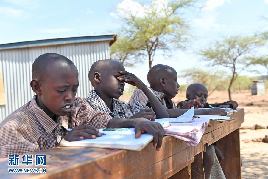 肯尼亚小学里的特殊“教室” 金合欢树下的露天课堂