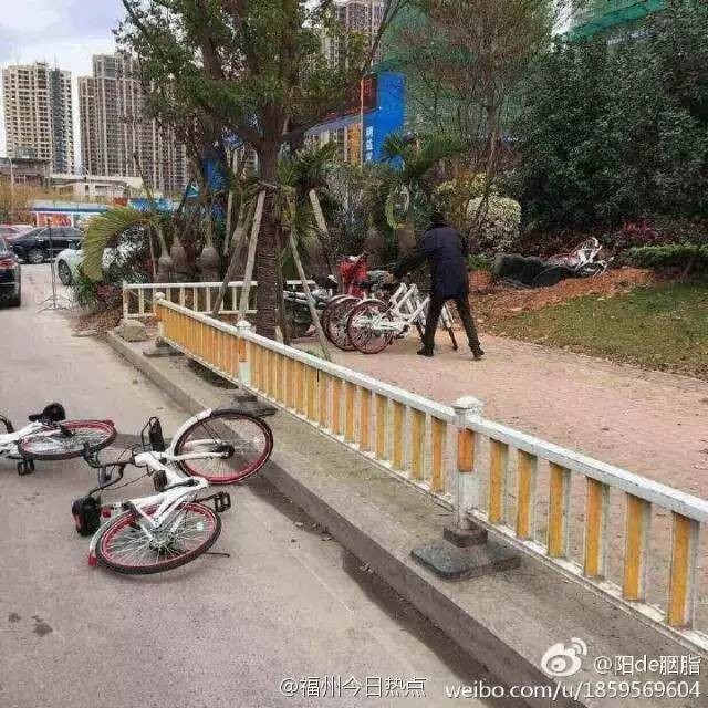 福州共享单车损毁调查！这些惨剧都真实发生了