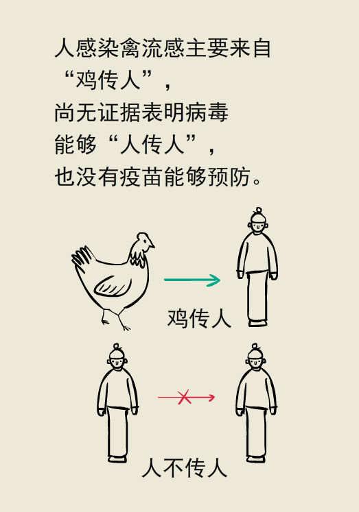 禽流感H7N9来袭，你知道如何预防吗？