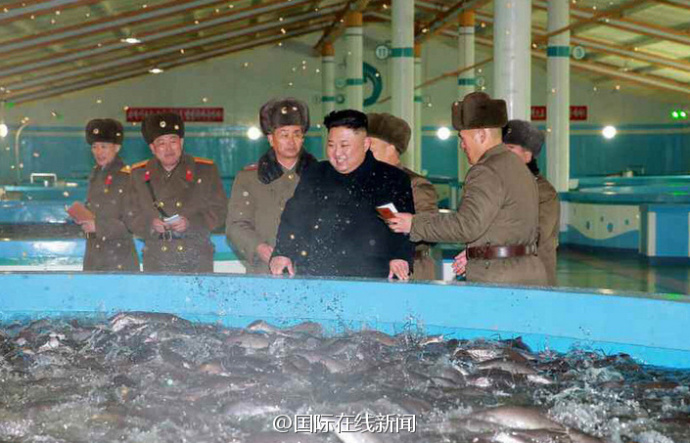 金正恩视察朝鲜鲇鱼养殖场亲自指导工作 笑容满面