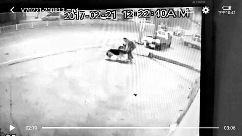 见人就咬连伤4人 晋江两恶犬被击毙