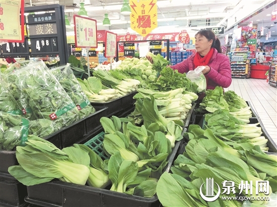 产量大增  泉州部分水叶菜批发价降幅超七成