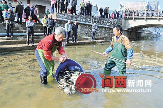 龙岩市武平县中堡镇开展江河鱼类人工增殖放流活动