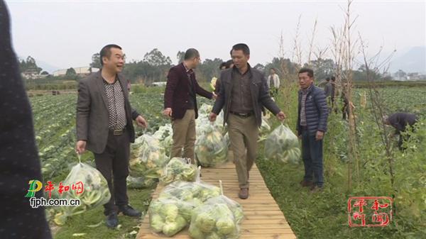 平和县五寨：贫困户蔬菜难卖 干部来帮买