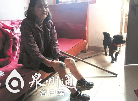 泉州82岁阿婆跪行70年 12岁失去双手双脚