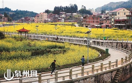 泉州人收好这份路线图 公交载你去赏花