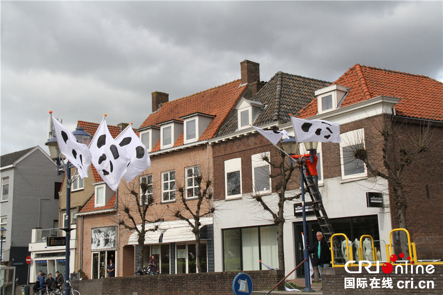 荷兰各界做足功课 迎接中国大熊猫 中国赠送大熊猫的国家有哪些？（2）