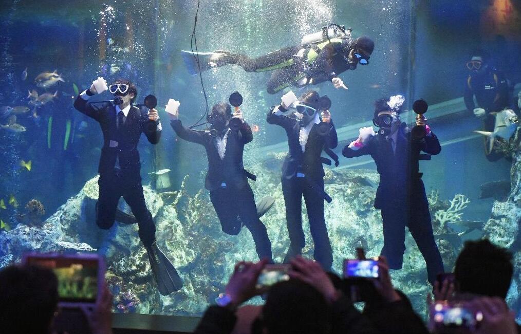 日本水族馆举行水下入职仪式：员工穿西装潜水