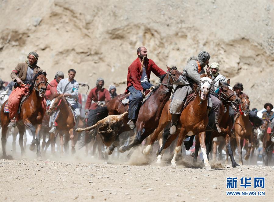 4月7日，在阿富汗北部的潘杰希尔省，骑手纵马驰骋，竞技“马背叼羊”大赛。 新华社/路透