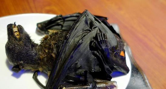 美国一家超市所售沙拉内现死蝙蝠 已宣布召回 蝙蝠能吃吗？