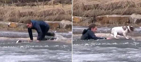 暖心一刻！加拿大男子跳入结冰河中解救落水爱犬
