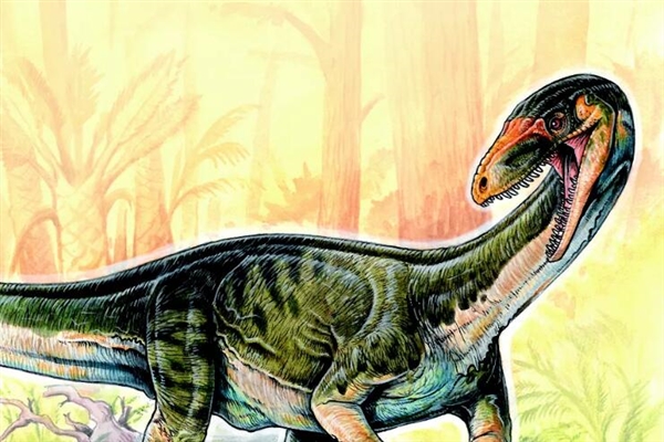 科学家找到鸟类和恐龙最早祖先：就长这样
