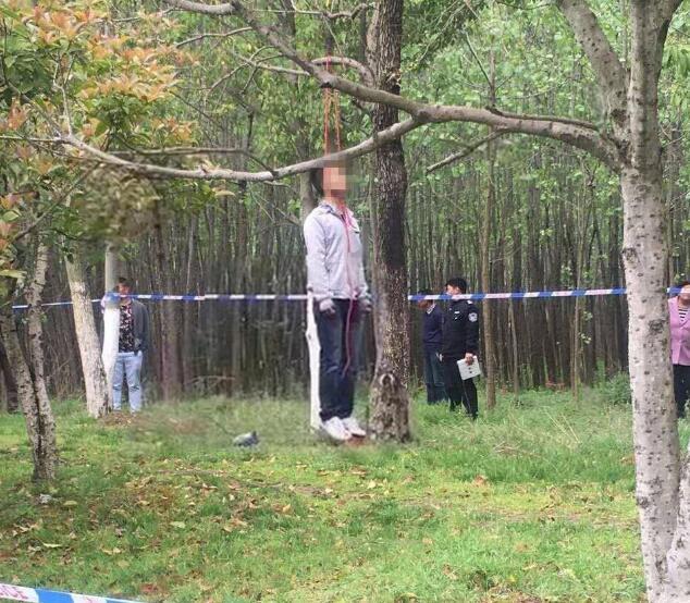 在江苏省淮安市开发区佳兴北苑东侧一树林里,有一位年轻男子疑似上吊