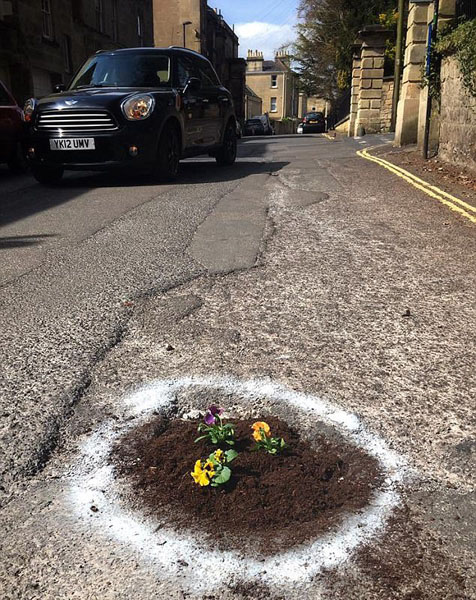 英国“志愿园丁”在路面凹陷口上种花提醒路人