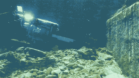 海洋生态保护机器人就长这样 能防止物种入侵？