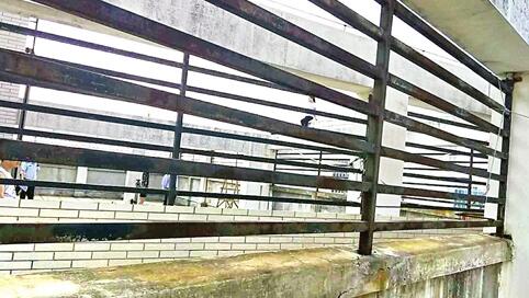 与男友吵架欲轻生 晋江女子９楼撒万元