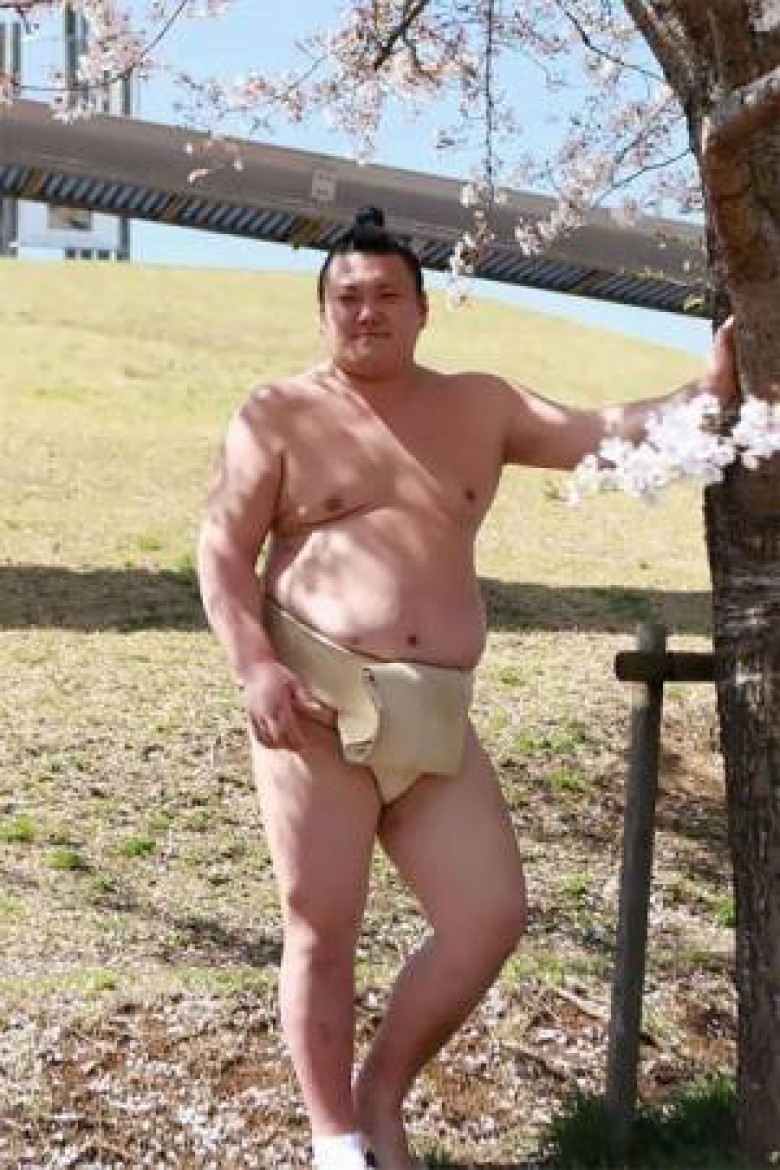 日本相扑手樱花树下拍妩媚写真 网友吐槽想打人