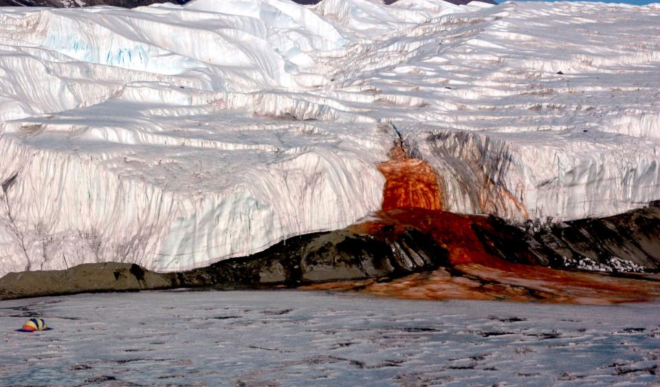南极血瀑布揭开 血瀑布流的是真血吗？血瀑布是怎么形成的？