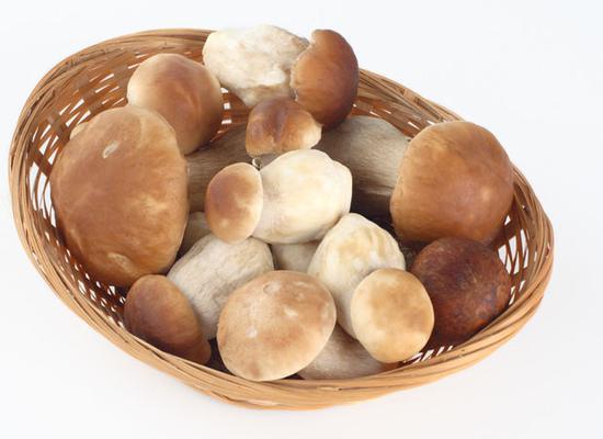 家电常识:蘑菇可以放冰箱吗？