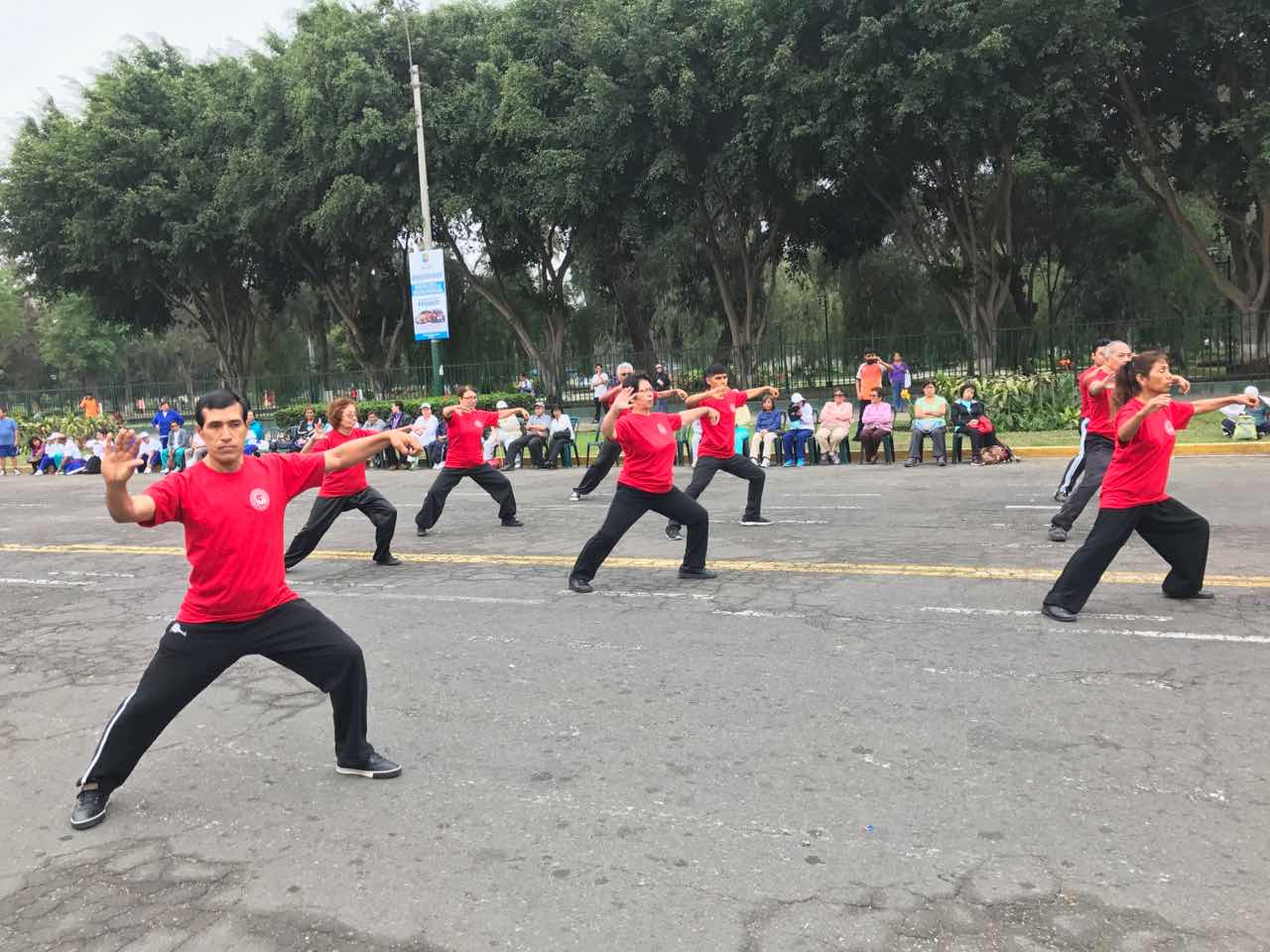 两百多秘鲁太极爱好者共庆世界太极拳日