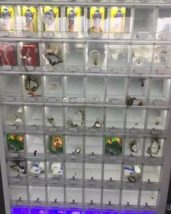 福州花海公园自动售卖机遭毒手 被砸被烧商品被盗