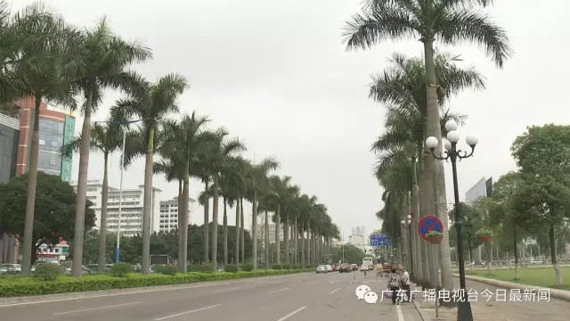 事发在前日中午的广州花都公益路上，一名踩电动车的女士，不幸被一片近两米的大王椰子树落叶击中，随后跌在机动车道上。幸好后车减速避让及时，女子才没有受到二次伤害。