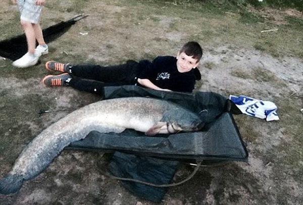 英国10岁男童孤身奋战20分钟徒手捕获巨型鲶鱼