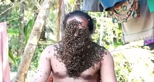 美国男子任数千只蜜蜂爬到脸上当胡子 毫无惧色