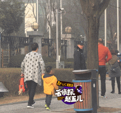 王子文儿子的爸爸名叫刘丰源，孩子暂时由王子文妈妈照看