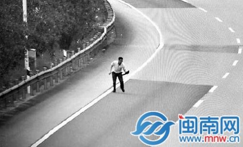 男子高速公路上停车抓鸟 送随车女子