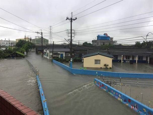 台湾持续暴雨多地受灾 鱼、乌龟、老鼠等被冲上岸
