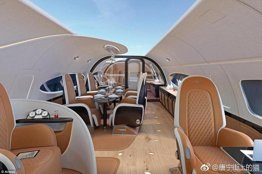 空客将推出“全景天窗”私人飞机 售价一亿美元