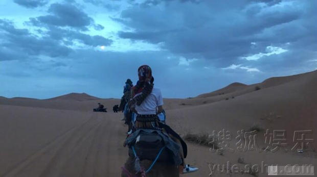 林志玲沙漠中骑骆驼 笑容甜美性感迷人