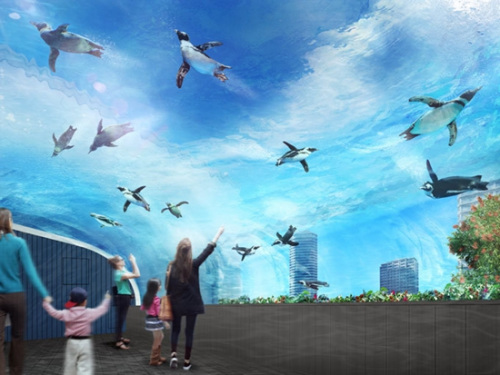 超梦幻：日水族馆推“让企鹅飞上天空”展览(图)