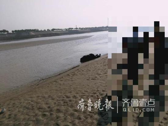 济南黄河边现男子浮尸 高度腐烂疑从上游漂来