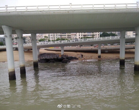 一女子从演武大桥观景落水 抢救无效不幸身亡