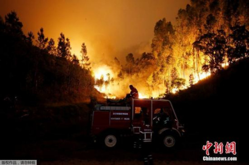 森林大火致62死 葡萄牙全国陷紧急状态 森林大火新闻
