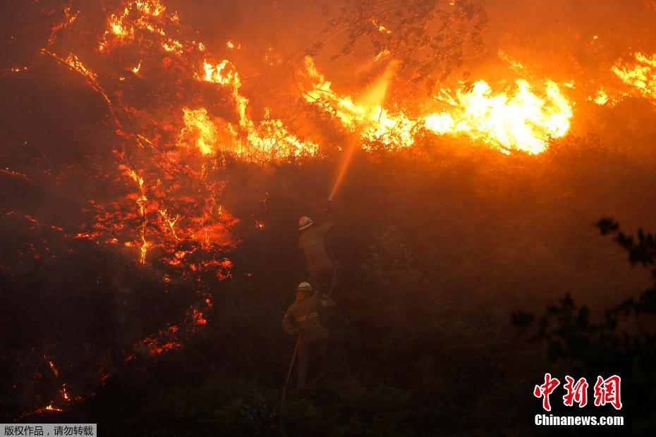 葡萄牙森林火灾持续蔓延 700多名消防员参与扑救