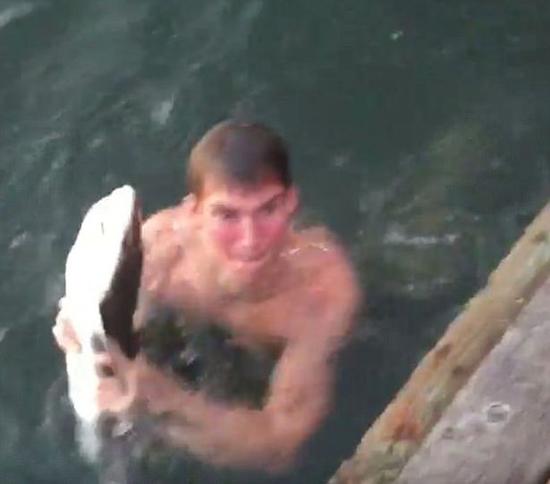 美大学生跳入水中徒手抓濒危鲨鱼 称只为了观察
