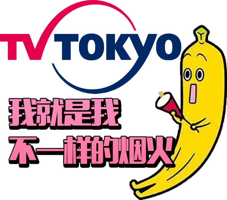穷？日本东京电视台又“作妖”了，它竟这样介绍议会竞选人