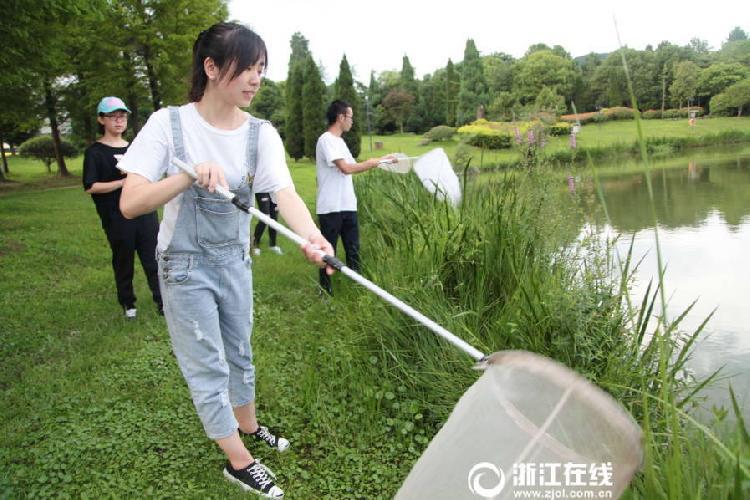 浙江一大学布置暑假作业:每人捉昆虫300只做标本