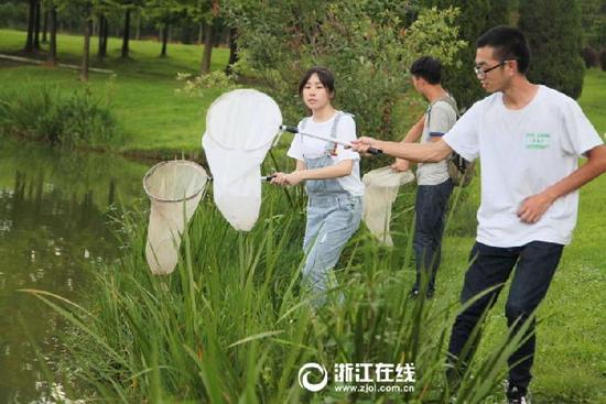 浙江农林大学暑假作业：植物保护专业学生捉昆虫300只做标本
